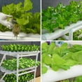 thumbnail image 5 of Kalkiam Hydroponic Growing System Hydroponic Kit Soilless Cultivation Grow Box With Water Pump Timer Garden Cabinet Box Soilless Garden Cabinet Box competent, 5 of 9