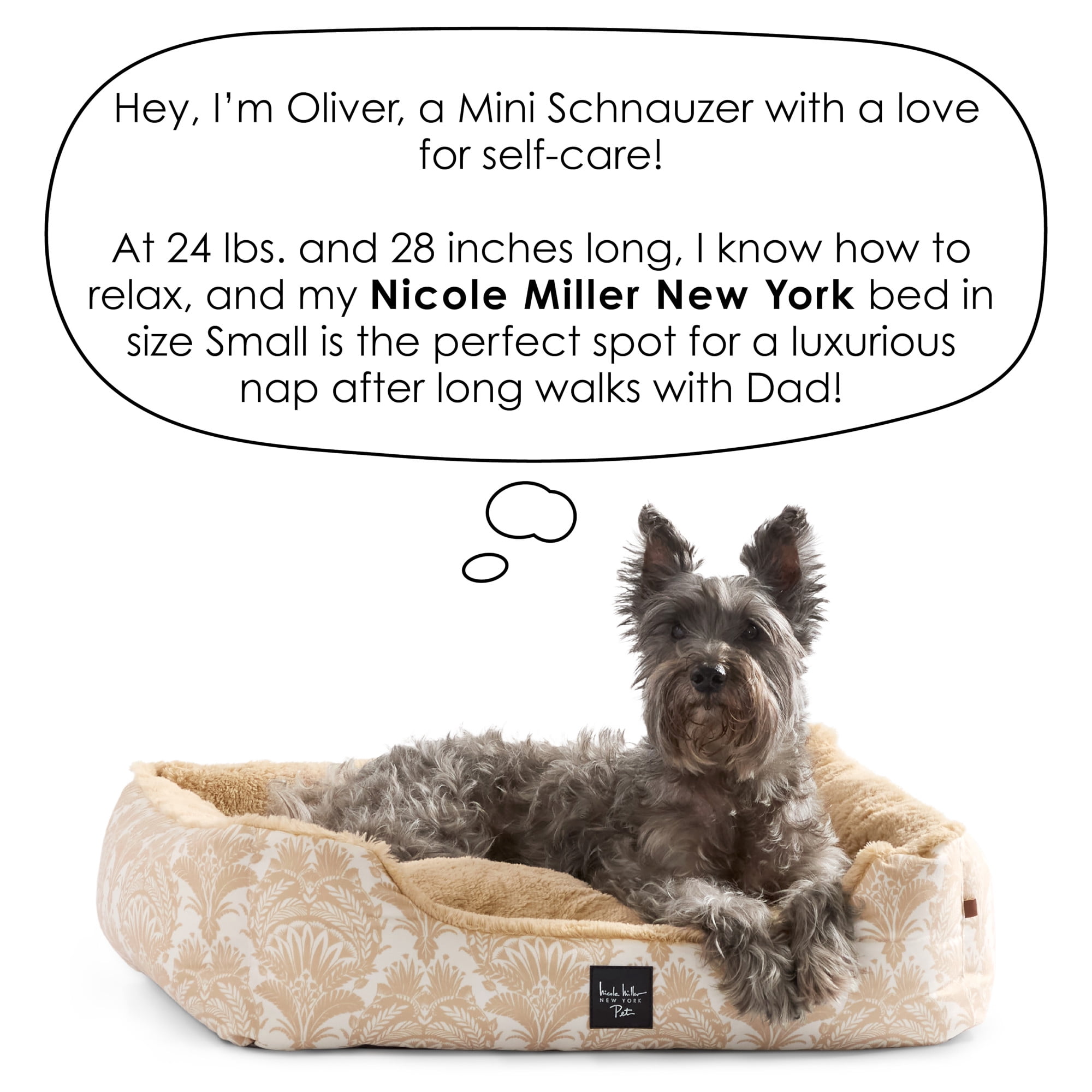 NICOLE MILLER NEW YORK PET Mod Damask Plushy Bolster Pet Bed, Cozy & Calming, Water Repellent, Non-Slip Bottom, 100% Machine Washable, Blue, Small 24"x19"x7"