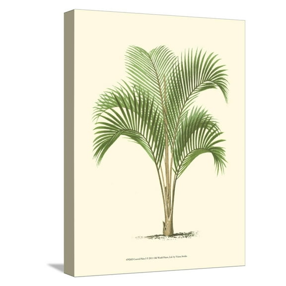 Art.com Coastal Palm I Stretched Canvas Print Wall Art, 12" x 16"