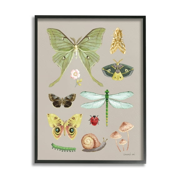 Stupell Industries Various Insect Studies Animals & Insects Painting Black Framed Art Print Wall Art, 11 x 14