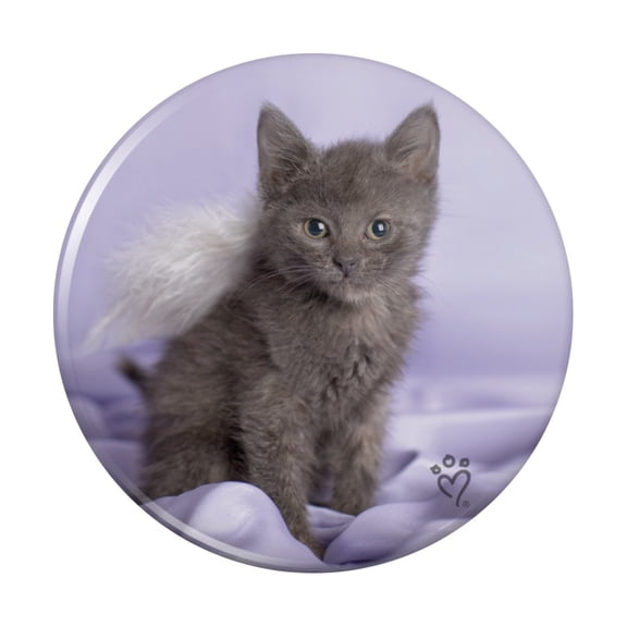 Domestic Shorthair Kitten Cat Angel Wings Purple Satin Pinback Button Pin