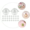 thumbnail image 3 of ACDANC 50pcs Cupcake Holders Clear Plastic Cupcake Containers Disposable Cake Boxes, 3 of 7