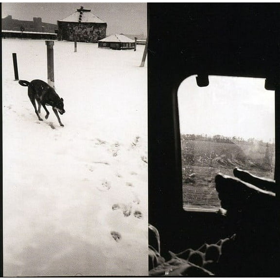 We Are Lonely Animals