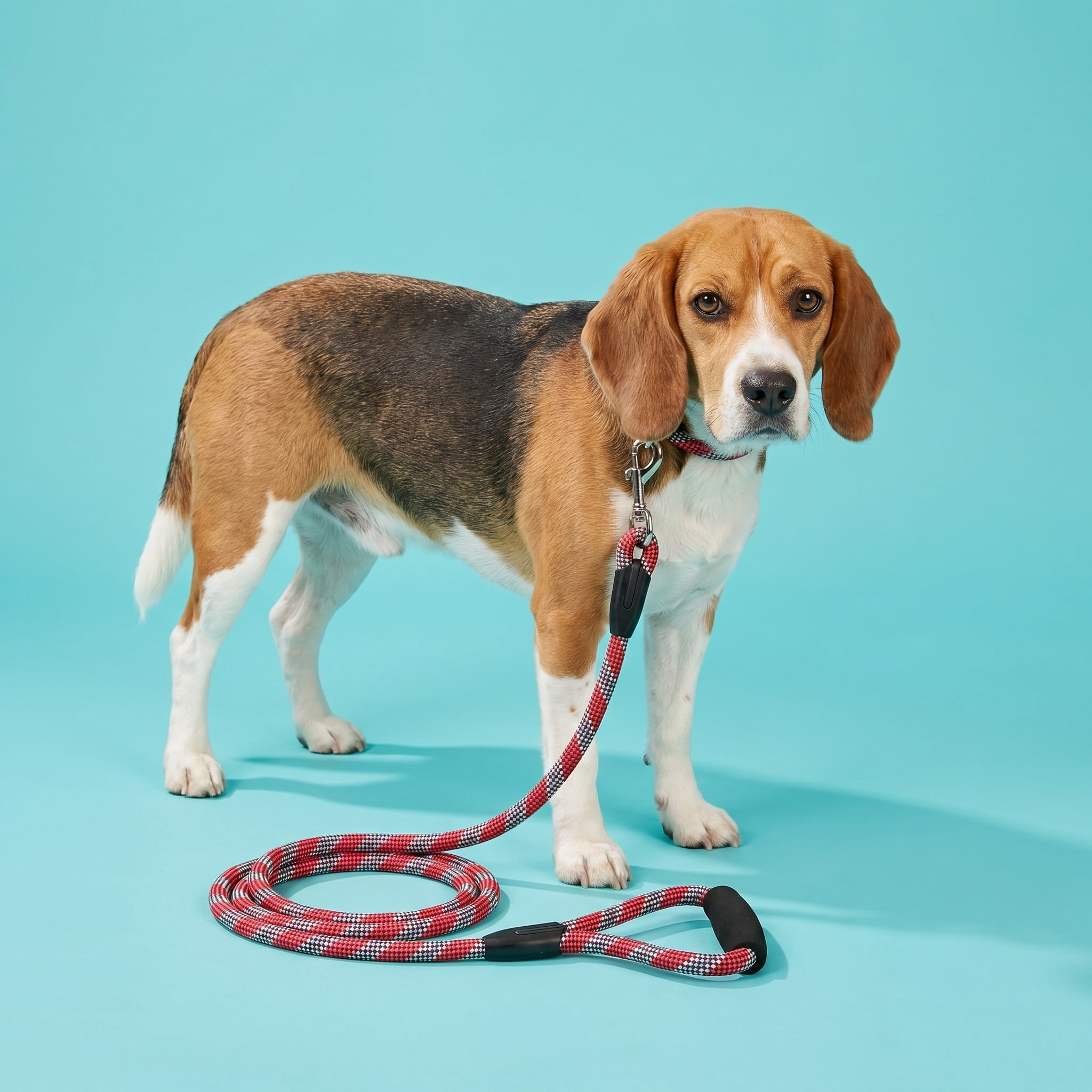 Vibrant Life 6' Reflective Rope Leash, Red and White, L