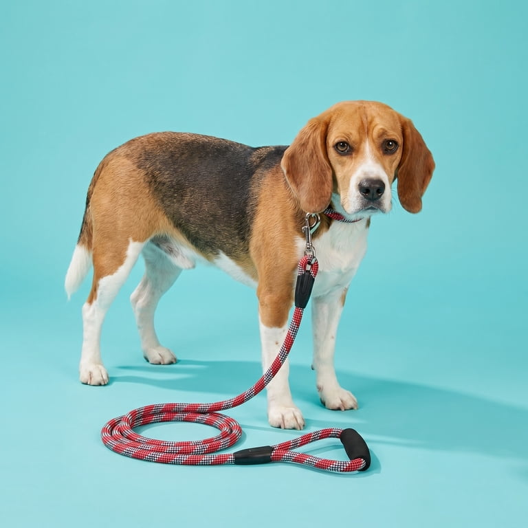 Reflective Rope Leash, 6 ft, Red & White, Large photo 2