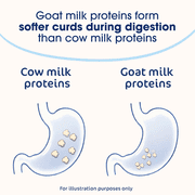 (4 pack) Kabrita Goat Milk Infant Formula, Non-GMO with DHA and ARA, Ages 0-12 Months, 28 oz Can