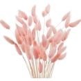 thumbnail image 1 of Paquete de 50 flores secas de hierba de la pampa rosa, decoración natural duradera para cumpleaños, bodas y hogar: estilo bohemio, 1 of 5