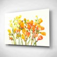 thumbnail image 2 of Epic Art 'Freesia I' by Tim O'Toole, Acrylic Glass Wall Art, 24"x16", 2 of 3