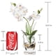 thumbnail image 2 of Bonsái artificial de orquídea en jarrón de vidrio Jusdreen, 2 of 7