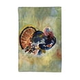 thumbnail image 1 of Betsydrake KT1165 Serviette de Cuisine Colorée pour Dinde de 16 x 25 Po, 1 of 1