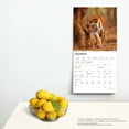 thumbnail image 4 of Magnificent Tigers | 2024 12x24" (Hanging) Wall Calendar | StarGifts, 4 of 8