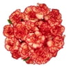 Image thumbnail_image