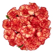 Fresh-Cut Mini Carnations Flower Bunch, Minimum 8 Stems, Colors Vary
