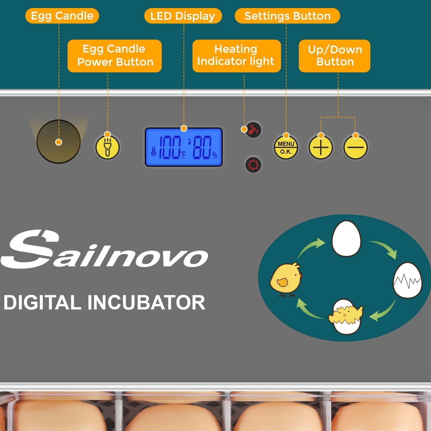 Adnoom Egg Incubator, 15 Eggs Automatic Incubator with Temperature Control and Automatic Egg Turning Function for Hatching Chickens, Ducks, Quails, and Birds, the Best Choice for Children's Gifts