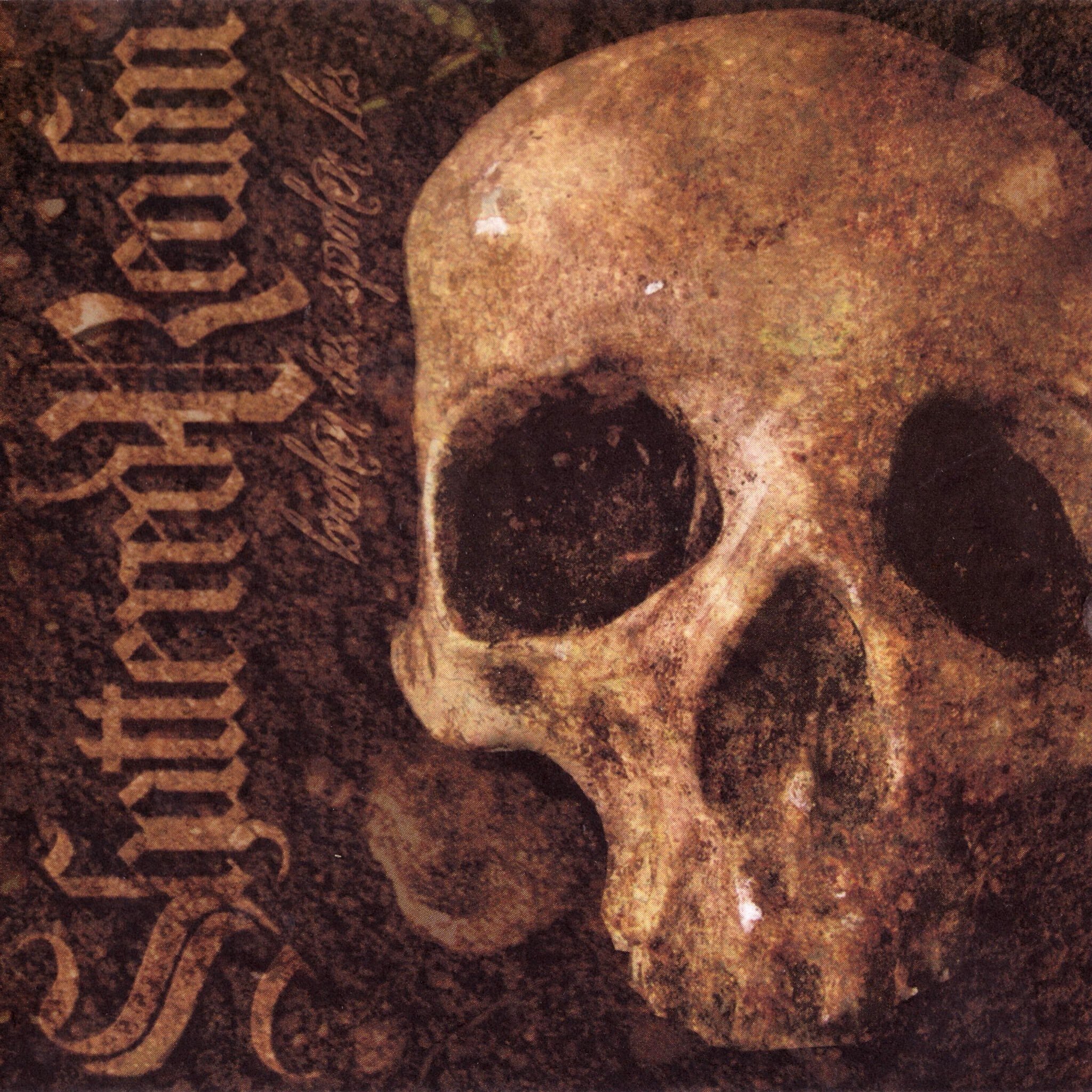 Shattered Realm - Broken Ties... Spoken Lies - Music & Performance - Vinyl