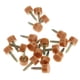 thumbnail image 5 of 20 puntas de repuesto para tacones altos Tapas de reparación de zapatos Tapas de cvijas Reempzo de elevadores de cvijas Grande Macarena Puntas de reemplazo de tacón alto, 5 of 7