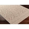 thumbnail image 3 of Surya Tuareg 63x84" Modern Polypropylene Rug in Tan and Taupe Finish, 3 of 3
