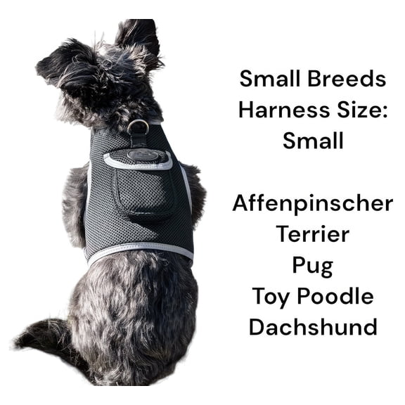 Pocket Pet GPS Tracker Cat Waterproof Collar Tracking Rechargeable NEW Size:XXL