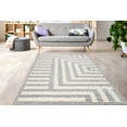 thumbnail image 2 of LaDole Rugs 4x6 ft Fluffy Shaggy Area Rug | Machine Washable Small Carpet For Bedroom, Living Room, Kitchen, Entry Way, Indoor Floor Décor | Grey, 2 of 5