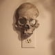 thumbnail image 2 of Lámpara calavera Hugtrwg Enchufable Decoración Halloween Pared, 2 of 9