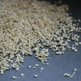 Organic Quinoa Seed 50 Lbs Bulk Quinoa Grain Seeds For Flour