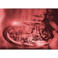 thumbnail image 1 of Ahgly Company Machine Washable Indoor Rectangle Transitional Cranberry Red Area Rugs, 8' x 10', 1 of 7