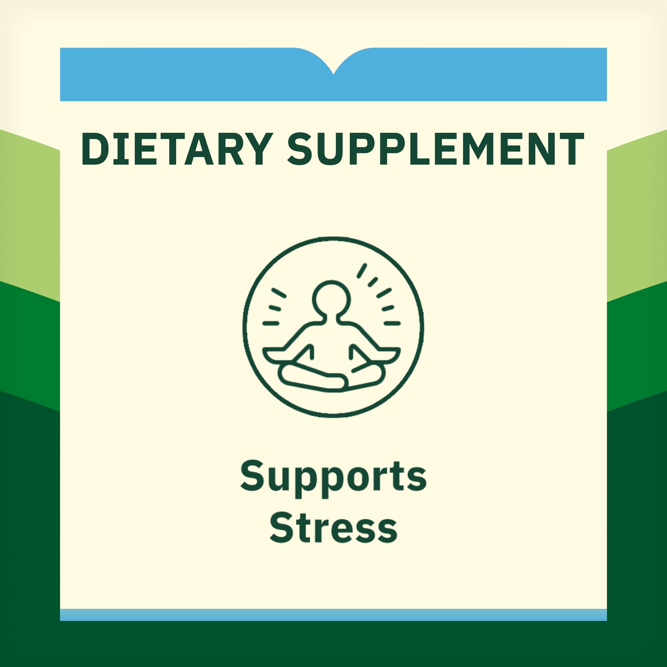 (3 pack) Spring Valley Magnesium Stress Support Dietary Supplement Powder, Raspberry Lemon Flavor, 350 mg, 8 oz