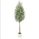 thumbnail image 1 of 7ft (2pcs) artificial olive tree con curved design para home o oficina decor-available in 5ft 6ft 7ft sizes, 1 of 5