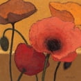 thumbnail image 3 of Novak, Shirley 20x20 Black Modern Framed Museum Art Print Titled - Poppy Curry I, 3 of 5
