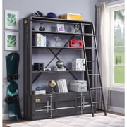 ACME Cargo Bookcase w/Ladder, Gunmetal