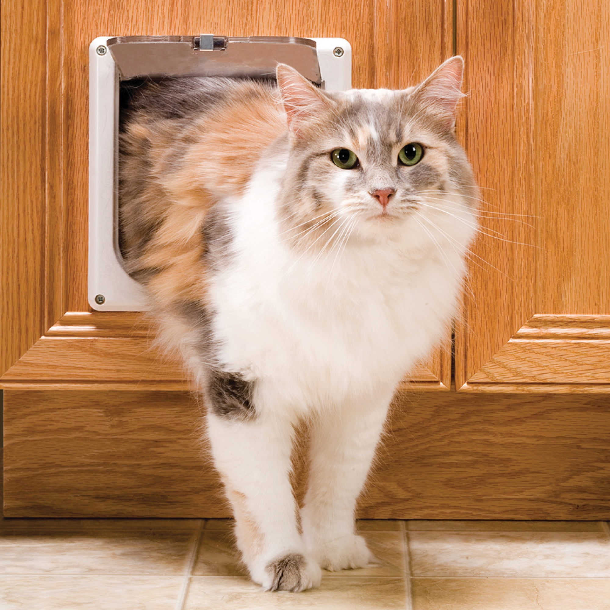 5.8” X 5.8” PETSAFE CAT 2-WAY FLAP CAT DOOR CATS Up To 15 LB 