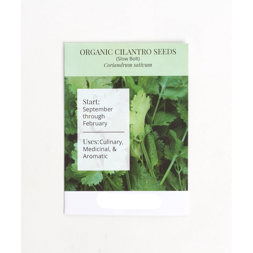 Organic Cilantro Seeds