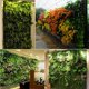 thumbnail image 3 of Bolsa De Pared Para Plantas, 12 Bolsillos, Fieltro, Colgante Vertical, Bolsa Para Plantas De Jardín, Utilizada Para Interiores Y Exteriores, Hierbas Y Flores Vegetales (Verde) Muyoka Hogar, 3 of 6