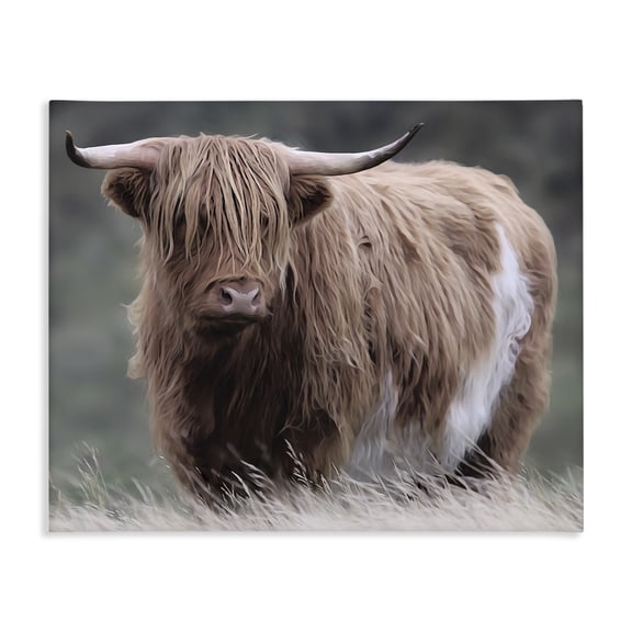 Stupell Industries Wandering Harry Highland Cattle Canvas Wall Art, design by Marcus Prime