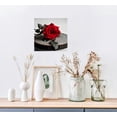 thumbnail image 3 of Nawypu Canvas Wall Art Red Rose Painting Bathroom Accessories,Black and White Wall Art Flower Pictures Canvas Print Artwork for Living Room Bedroom Home Decorations 16x16 inch, 3 of 4