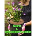 thumbnail image 4 of Reusable Coir Mulch Ring, Fiber Tree Protector Ensuring Moisture Retention in Your Indoor Outdoor Potted Plants, 4 of 5