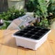 thumbnail image 5 of Bandeja De Plántulas De 12 Agujeros, Bandejas De Germinación De Semillas Gruesas Con Tapa, Bandeja De Vivero De Plántulas Para Cultivo De Germinación De Plántulas En Invernadero Speravity HA034673-00, 5 of 6