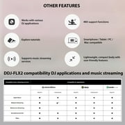 Pioneer DJ AlphaTheta DDJ-FLX2 Compact 2-Channel DJ Controller Bundle with Case, Instrument Cable, and Austin Bazaar Polishing Cloth