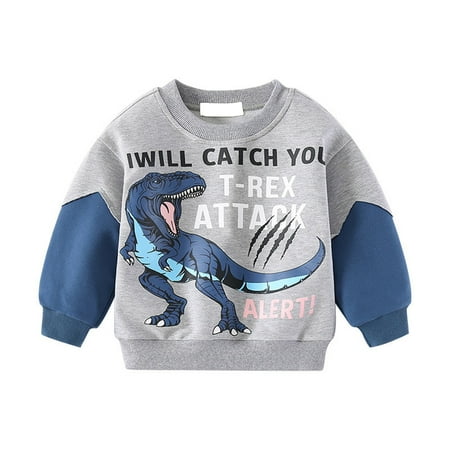 

Toddler Boys Cotton Crewneck Sweatshirt Cartoon Dinosaur Printed Pullover Sweatshirts