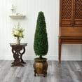 thumbnail image 3 of Nearly Natural 59" Plastic Boxwood Artificial Topiary, Green, 3 of 4