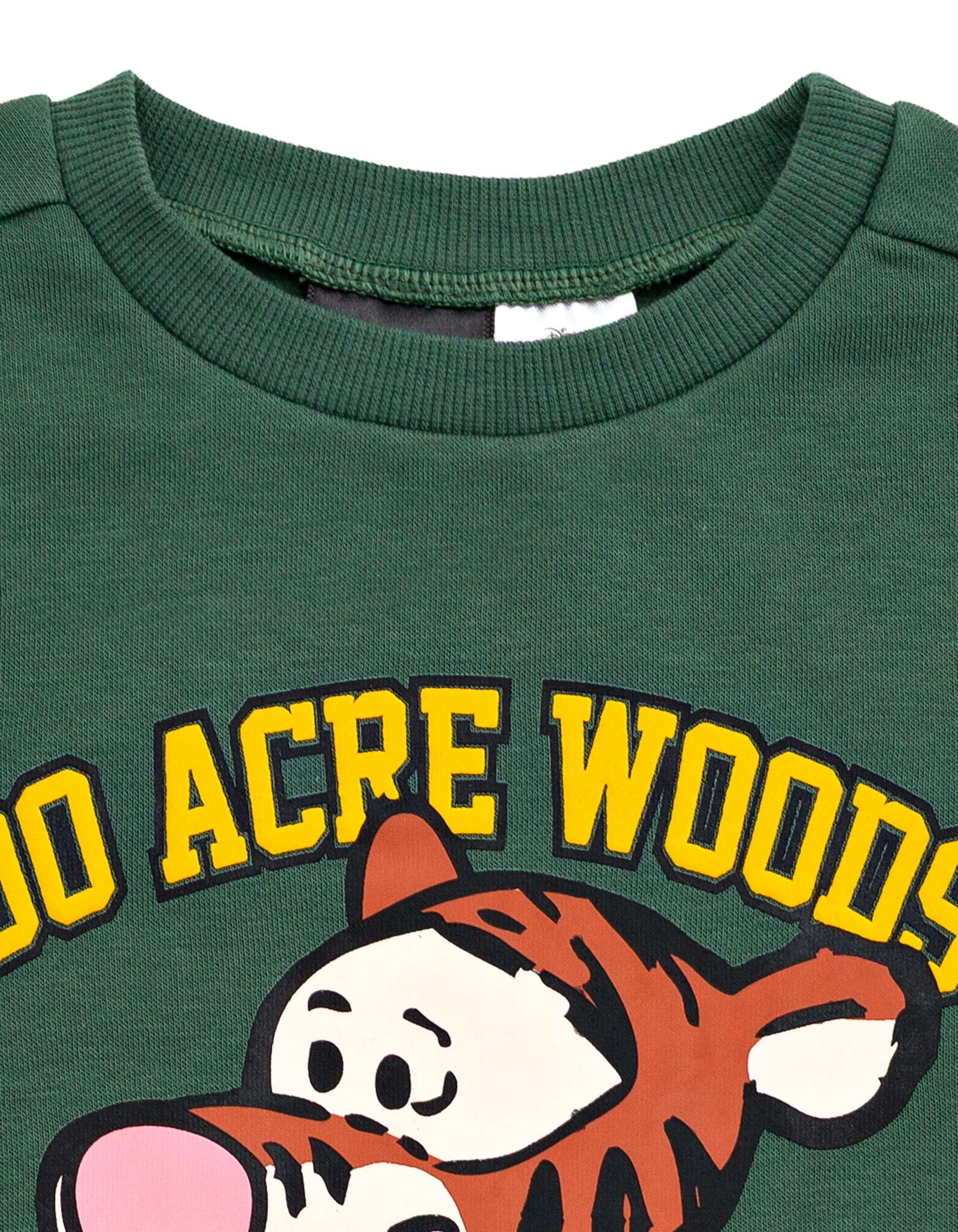 Disney Winnie the Pooh Baby Boys' Fleece Sweatshirt and Pants Set Tigger Dark Green