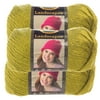 Lion Brand Yarn (3 Pack) Landscapes Yarn Acrylic 100% Medium #4 Soft Yarn