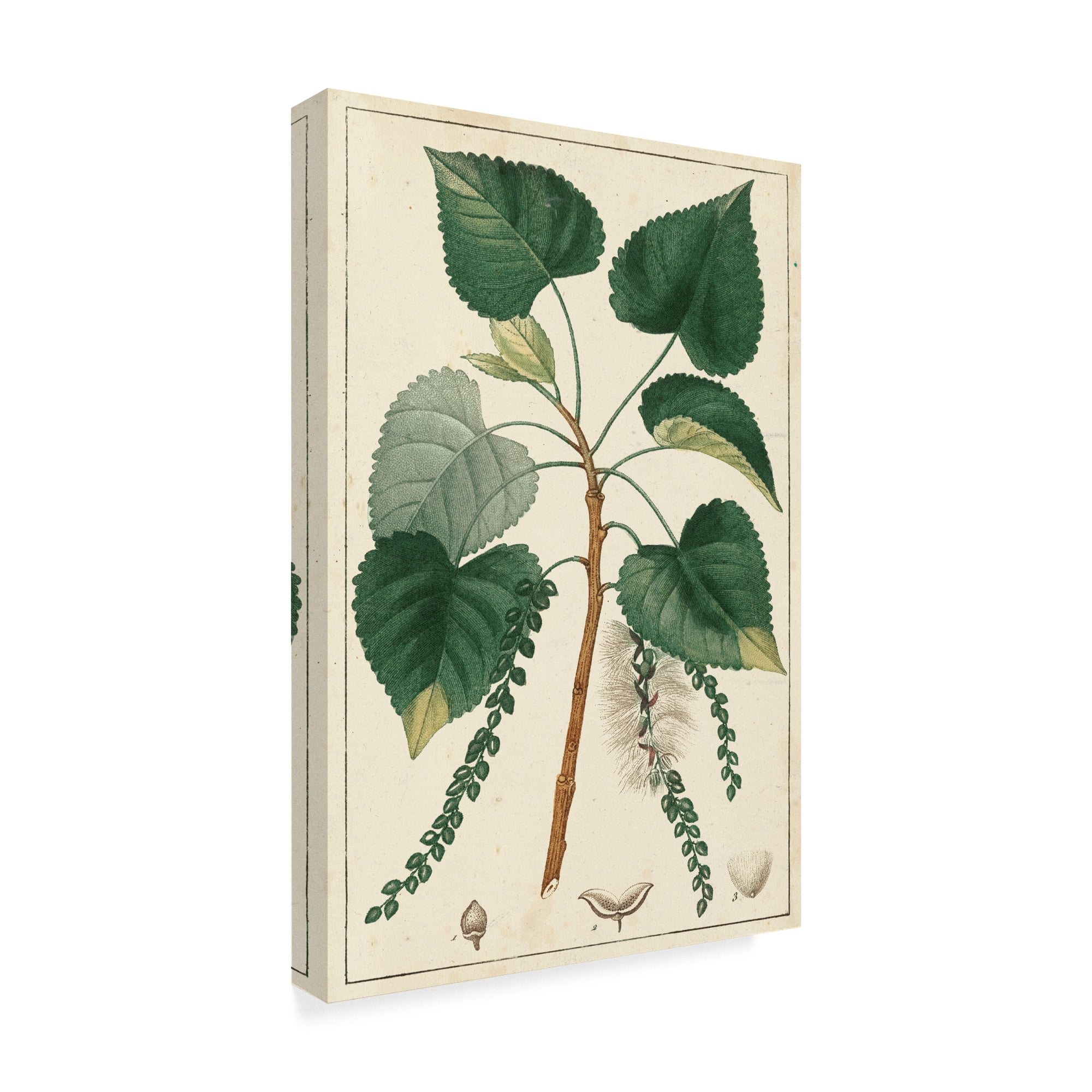 Trademark Fine Art 'Turpin Poplar Tree' Canvas Art by Turpin
