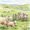 Meadow Sheep01, variant on Watercolor Mountain Wildflower Framed Wall Art, Solid Wood Frame Hiking Trail Nature Landscape Print, Scenic Outdoor Artwork for Living Room Bedroom, 12x16in