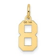 thumbnail image 4 of FJC Finejewelers 10 kt Yellow Gold Small Satin Number 8 Charm 18 x 7 mm, 4 of 6