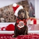 thumbnail image 3 of 2 piezas de toalla navideña para mascotas, toallita a cuadros para perros, bufanda para gatos, accesorios para fiestas navideñas, 3 of 5