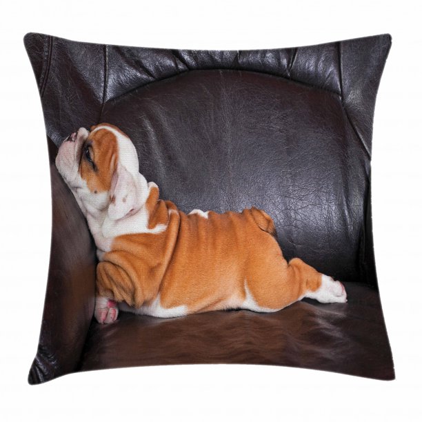English Bulldog Throw Pillow Cushion Cover, Puppy Resting on a Sofa