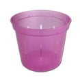 thumbnail image 4 of 5" Rose Quartz Slotted Orchid Pot (3 Pack) by rePotme, 4 of 5