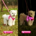 thumbnail image 4 of LED Dog Harness Rechargeable, Lighted Dog Vest Harness for Night Walking,Reflective Safety Vest for Small Dogs,Adjustable Soft Mesh, 4 of 8