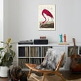 thumbnail image 4 of Art.com Pl 431 American Flamingo Stretched Canvas Print Wall Art by John James Audubon, 24" x 36", 4 of 4